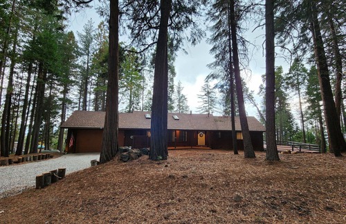 Shingletown Cabin | Cozy Mountain View Cabin on a private road near Lassen Park and Burney Falls.