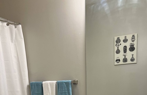 Lenox Apartment | Cozy Palace Buckhead - 420 Friendly