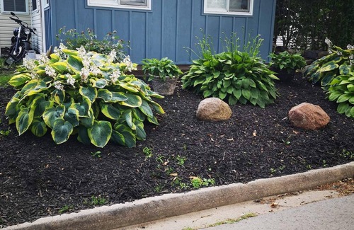 St. Catharines Cottage | Cozy Port Dalhousie Cottage - walkable to everything (pet friendly)