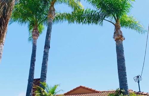 Northwest San Pedro House | Cozy Residential San Pedro Home with Beach Vibes