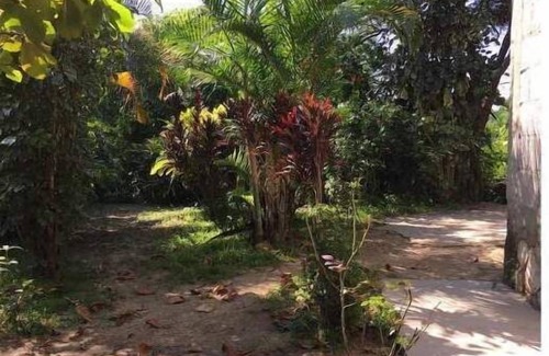 Puerto Vallarta Cottage | Cozy rustic casita located 5 minutes away from the river.