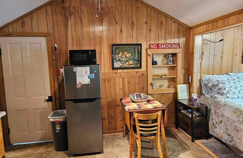 Frankfort Apartment | Cozy studio cabin close to Lake Michigan.