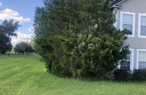 Northside Apartment | Cozy studio in enjoyable Jacksonville with WiFi, AC