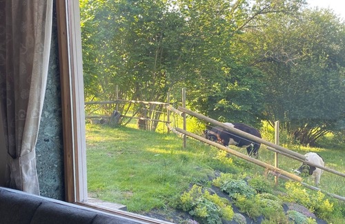 Lemsitz House | Cozy vacation home with fireplace - surrounded by wine & forest in Western Styria