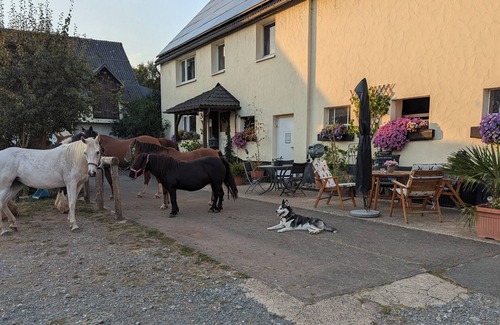 Oberschledorn Apartment | Cozy vacation apartment on Hellwiges Hof with dog/horse Medebach/Sauerland