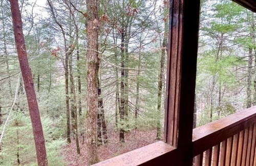 Tellico Plains Cabin | Crazy Bear, Studio, King Bed, Kitchen, Hot Tub! by RedAwning