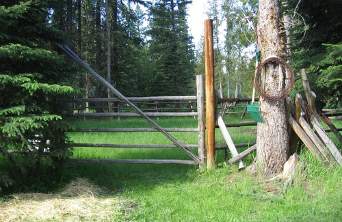 Bigfork Cabin | Creekside cabin in the Heart of the Swan Valley