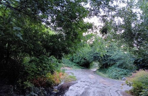 Patton Bed & Breakfast | "Creekside Retreat: Cozy 2-Bedroom Haven with Scenic Views"