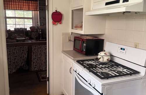 Julian Cottage | Cristine's Cozy Cottage in the Woods - Close to Town and Pet Friendly!