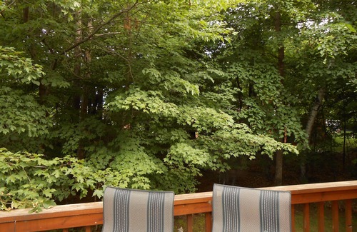 Crosslake Cabin | Crosslake, Whitefish Chain. 4 Bedroom home. 3000 sq feet