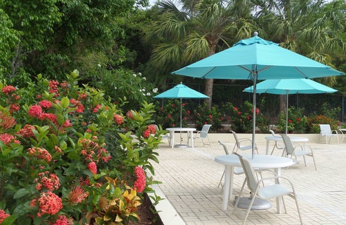 Red Hook Apartment | Crystal Cove Villas