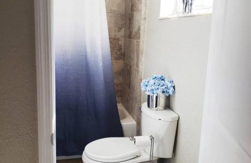 Tampa Heights House | Cute and Cozy Studio