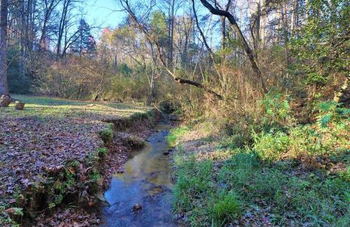 Helen House | Cute Cabin creek & Firepit #12