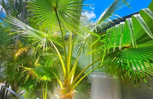 Emerald House | Cypress Caravan Stay