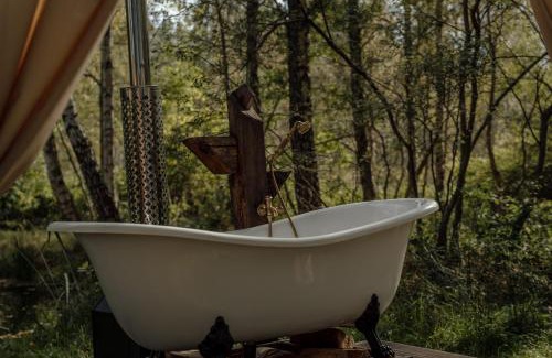 Zarnowska House | Czas na Las