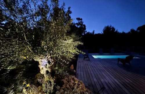 Soulac-sur-Mer House | Dépendance avec piscine et spa partagés - plage 130 m