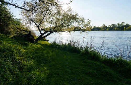 Saint-Dye-sur-Loire Apartment | Dôme de Loire
