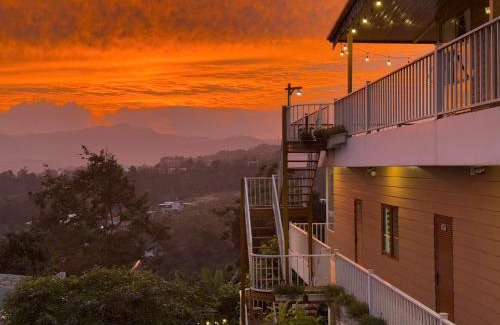 Bao Loc House | Dứa Homestay