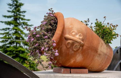 Santa Marta Bed & Breakfast | Da Zia Piera