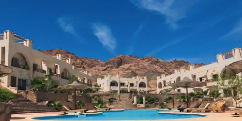 St. Catherine Apartment | Dahab Dolphin