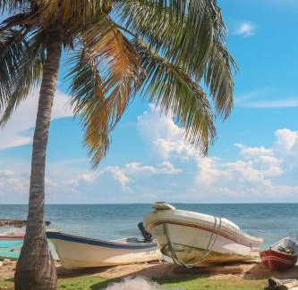 Isla Mucura House | Dahlandia