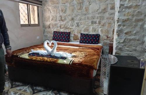 Dana Hotel | Dana moon hotel