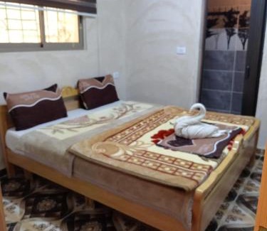Dana Hotel | Dana moon hotel