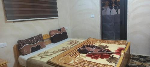 Dana Hotel | Dana moon hotel