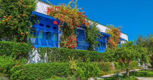 Sidi Bou Said Hotel | Dar Said
