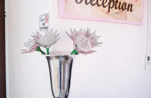 Upington Bed & Breakfast | Das Dunen