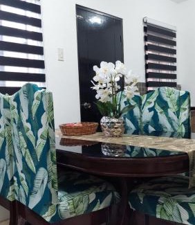 Talomo District House | Davao Transient Villa with 24hrs security guard BBQ Grill , Free Parking and Wifi