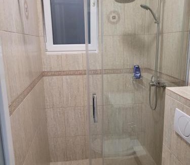 Baile Felix Apartment | David INN
