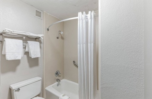 Hollins Hotel | Days Inn I81 king bed