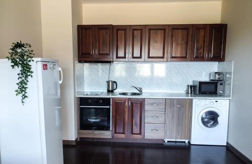 Shiligarnika Apartment | Deluxe Apartment 200m from SKI ROAD