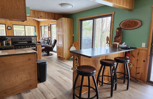 Irons Cabin | Deluxe Little Manistee River Cabin - Irons, MI