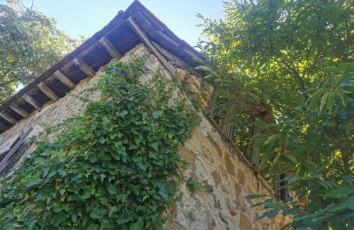 Arnaia House | Dendrocopos Medius