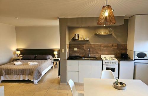 Lujan de Cuyo Apartment | Departamento malbec cosecha 2
