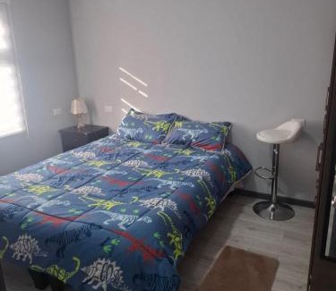Valdivia Apartment | Departamento centrico