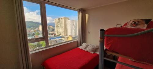 Temuco Apartment | Departamento completo, centrico y estacionamiento