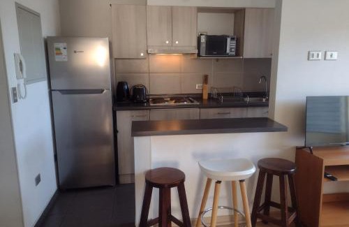 Temuco Apartment | Departamento El Canelo
