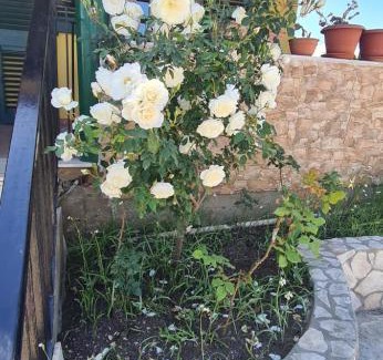 Augusta Apartment | Dependance con piscina