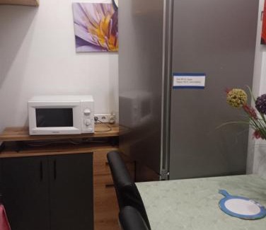 Odessa City Center Apartment | Deribasovskaya Shanti electricity all time