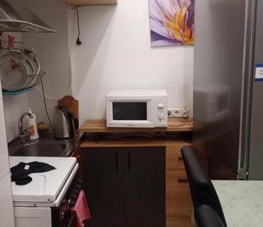 Odessa City Center Apartment | Deribasovskaya Shanti electricity all time