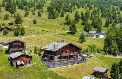 Nendaz Apartment | Des Alpes (004) - ON THE SLOPES apartment 16 pers
