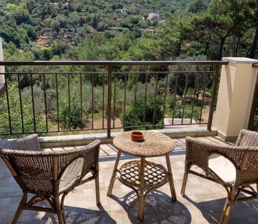 Armenistis Apartment | Despina Studios Raxes Ikaria # 1