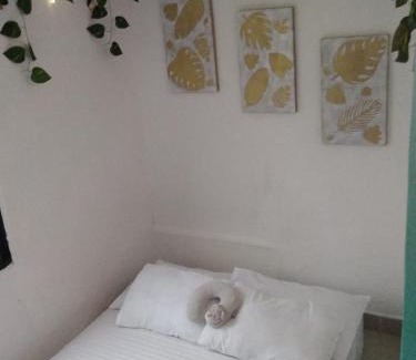 San Rafael House | DESTINY Apto Parque