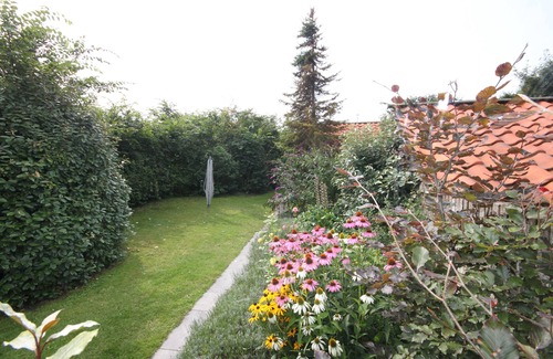 Zoutelande Cabin | Detached house right by the beach