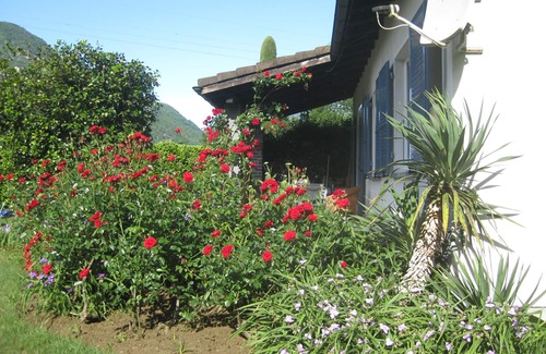 Arcegno House | Detached house with sunbathing lawn on the edge of the village and near the River Maggia