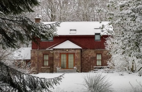 Carnoustie Cottage | Detached Renovated Cottage in woodland location.