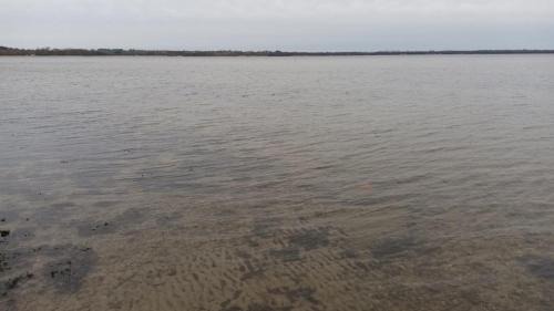 Hohenkirchen House | direkt am Wasser "Küstenperle"mit Meerblick und Sauna